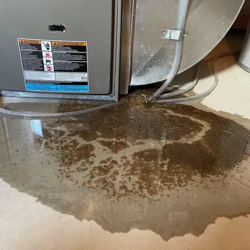 Appliance Leak Cleanup in Polk County, NC